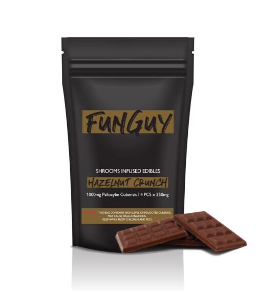 FunGuy Mushroom Chocolate Bar | Mushroom Chocolate Bar